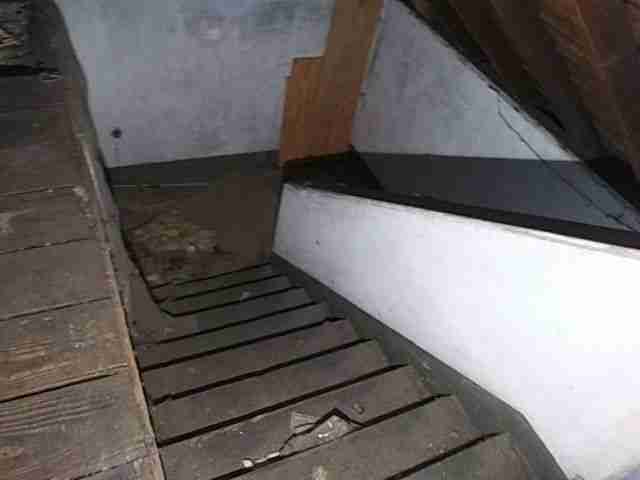 Testing again(39).jpg